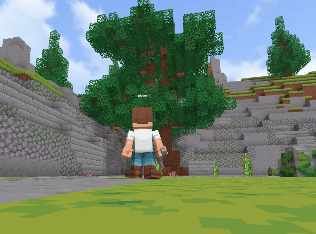 A blocky character stands in a grassy landscape, facing a large, pixelated tree and rocky terrain under a blue sky.